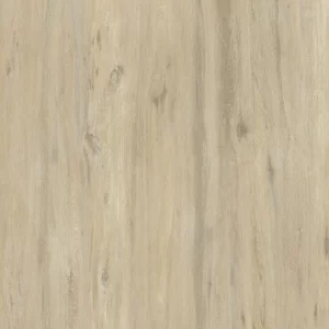 Kauai Pro 10
